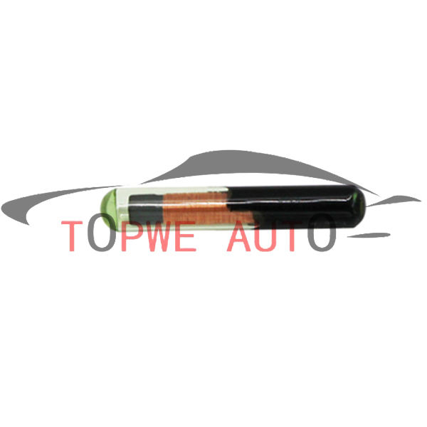 TP-chip-001C