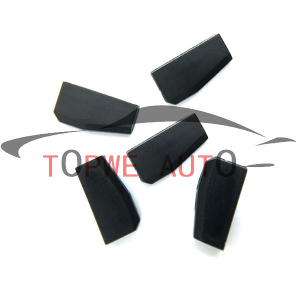 TP-chip-021