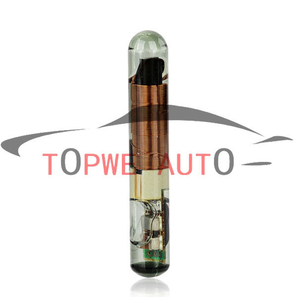 TP-chip-014