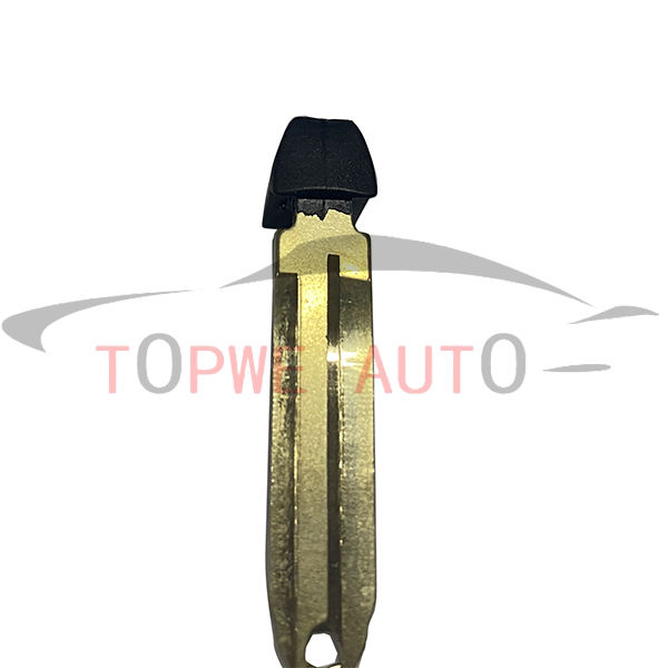 TPTOY-B55E