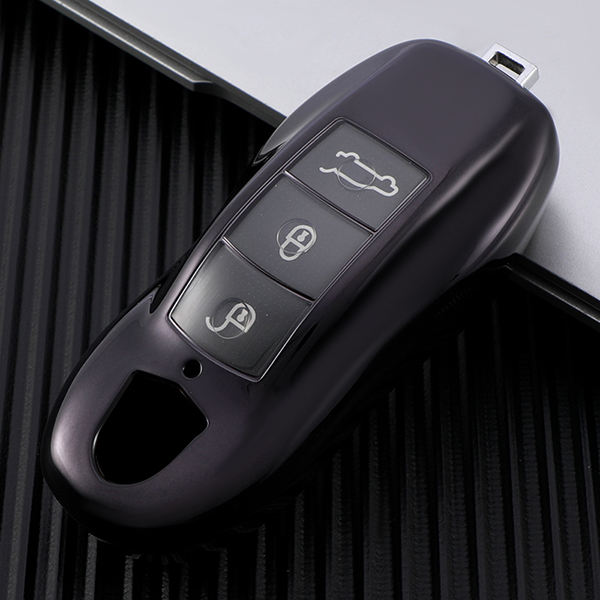 Porsche-TPU-01