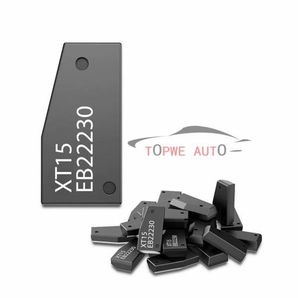 TP-chip-006C
