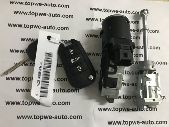 TPCIT-L13