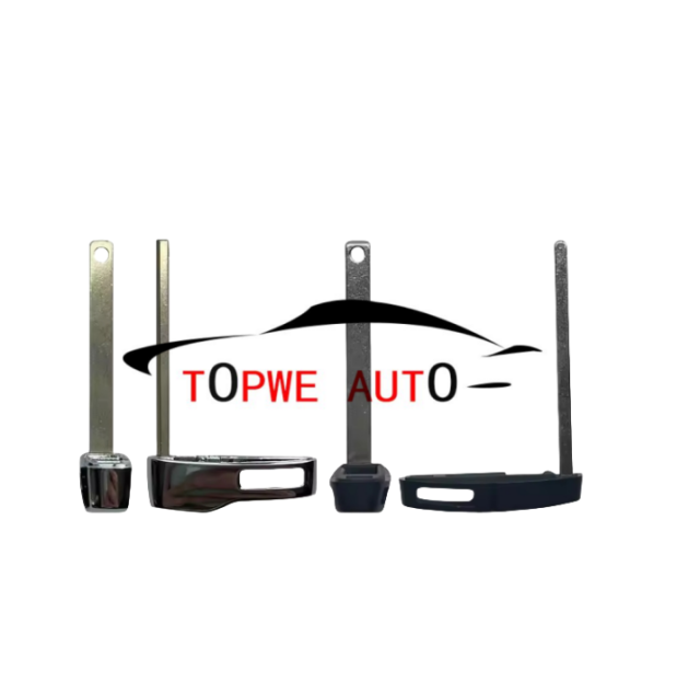 TpCher-R06Boriginal