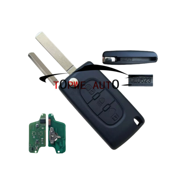 TPCIT-R09A
