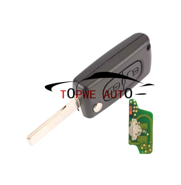 TPCIT-R08