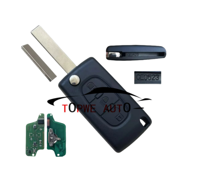 TPCIT-R09A