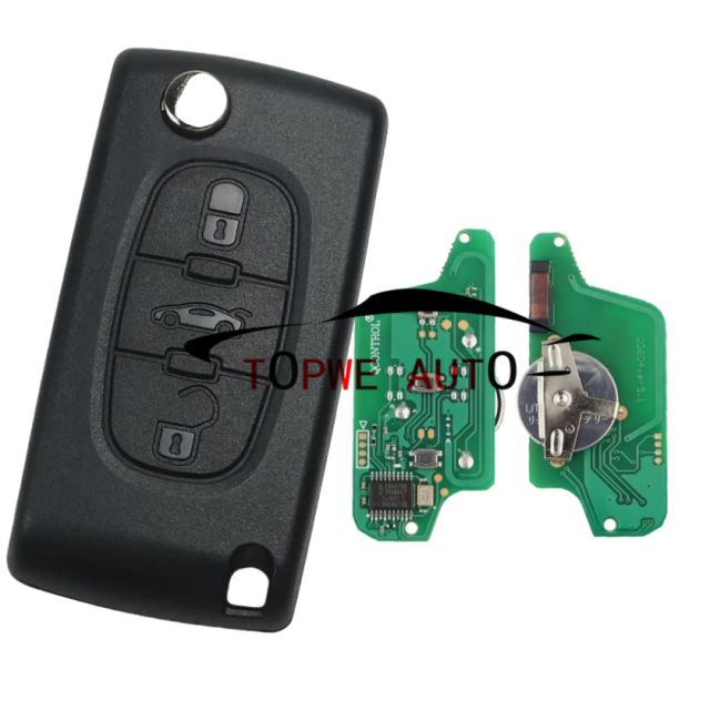 TPCIT-R09A