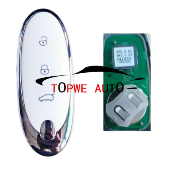 TPDongfeng-R03Boriginal