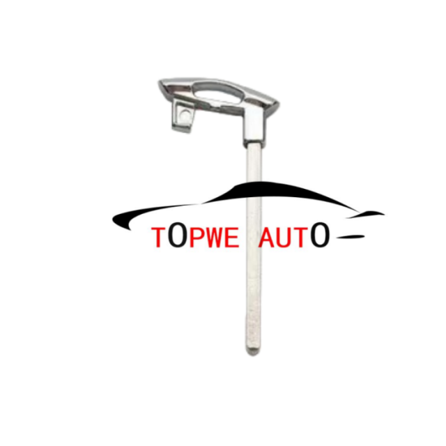 TpGeely-B03B