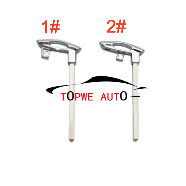 TpGeely-B03B