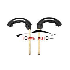 TPChe-B11B