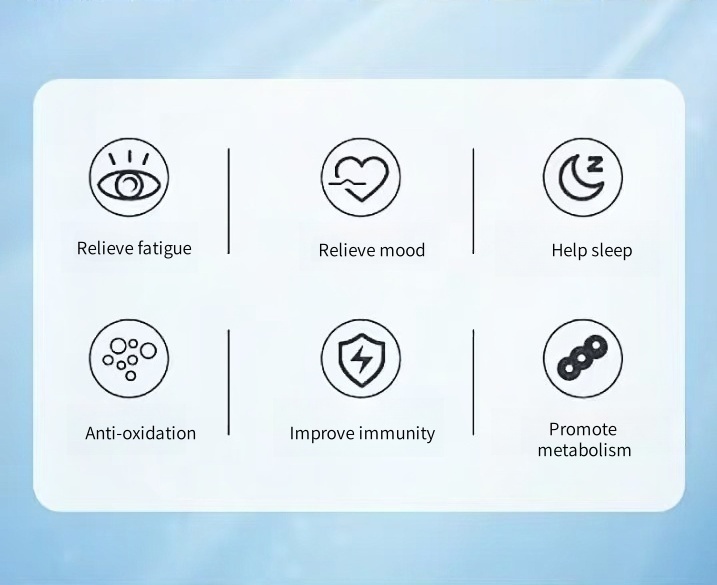 600ml H2 Water Generator with Dual-Port, PEM Water Electrolysis Ionizer Hydrogen Water Generator for Home, Travel