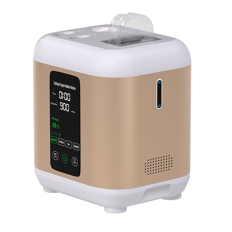Hydrogen Inhalation Machine 99.99% portable Purity Dual Outlet H2 Generator Hydrogen Production 200ml/min,400ml/min,600ml/min