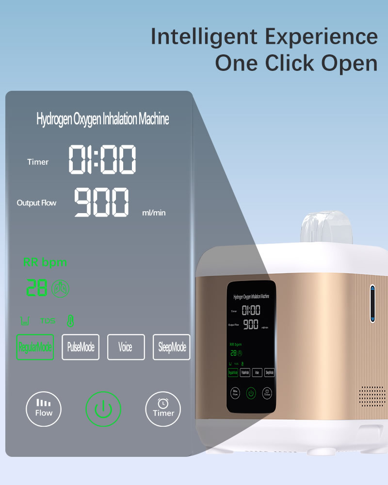 Hydrogen Inhalation Machine 99.99% portable Purity Dual Outlet H2 Generator Hydrogen Production 200ml/min,400ml/min,600ml/min