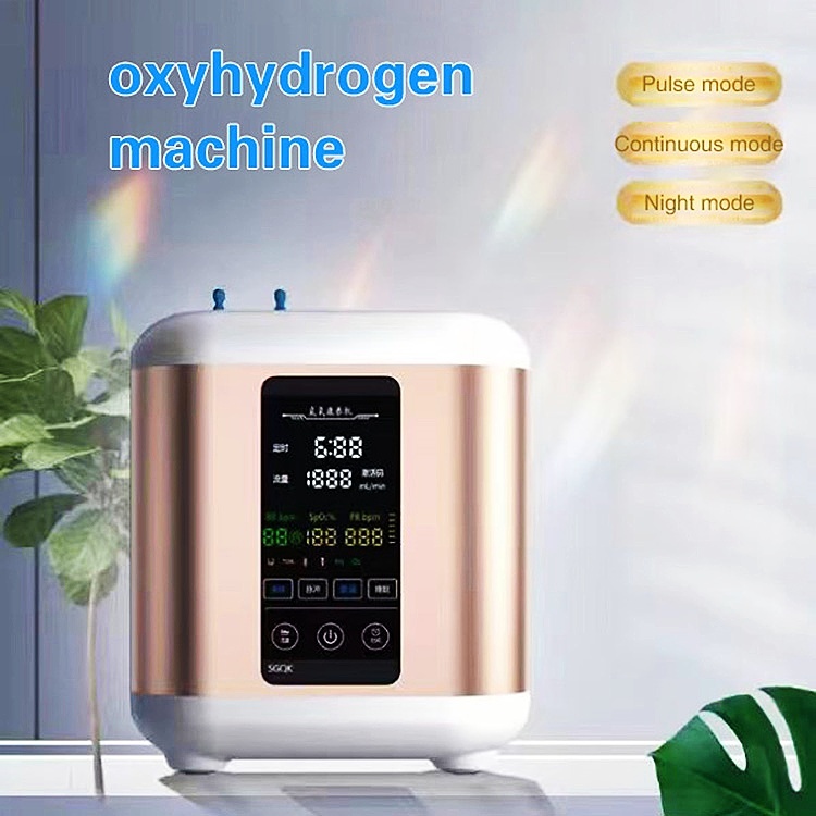 Hydrogen Inhalation Machine 99.99% portable Purity Dual Outlet H2 Generator Hydrogen Production 200ml/min 400ml/min 600ml/min