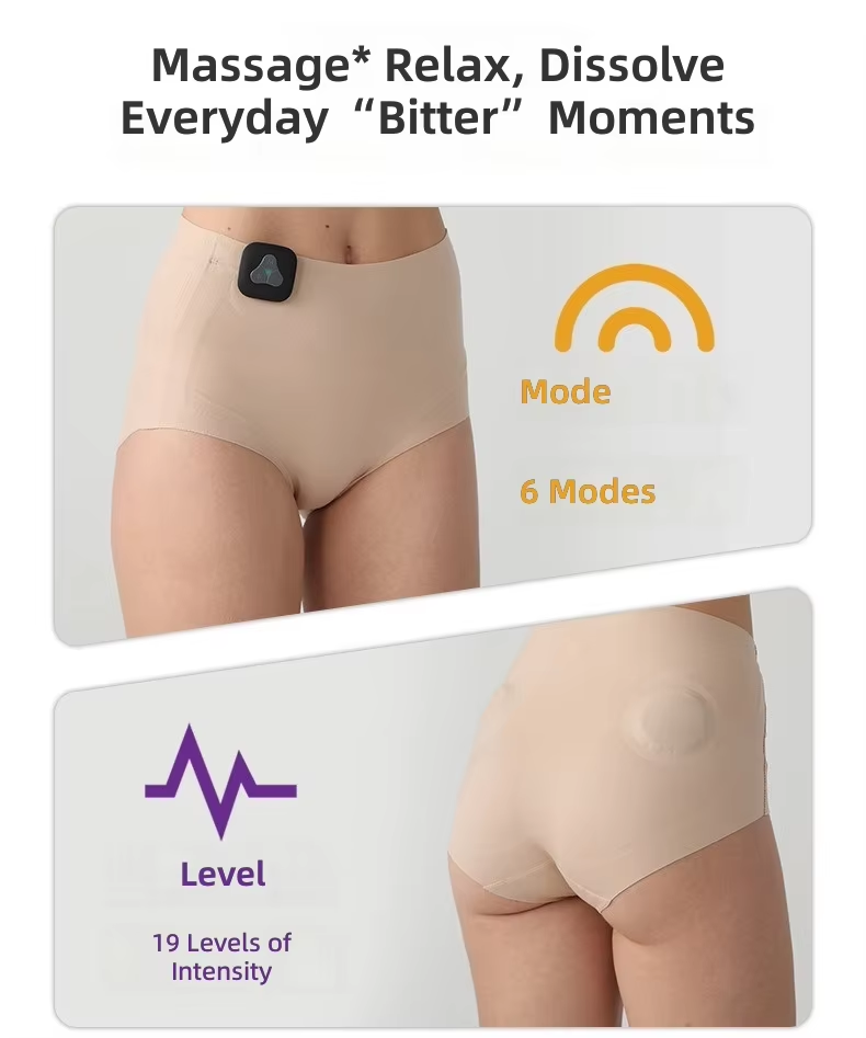 EMS Pulse Massage Smart Underwear for Women, 6 Modes 19 Levels, Detachable Controller, Seamless Functional Panties