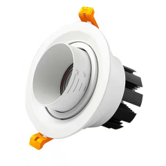 LED Pro Down Light