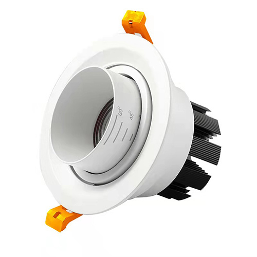LED Pro Down Light