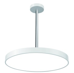 Versatile Pendant Light