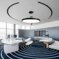 Versatile Pendant Light