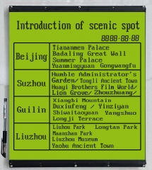 20 "STN, FSTN, large size, low power consumption, dot matrix segment code display module