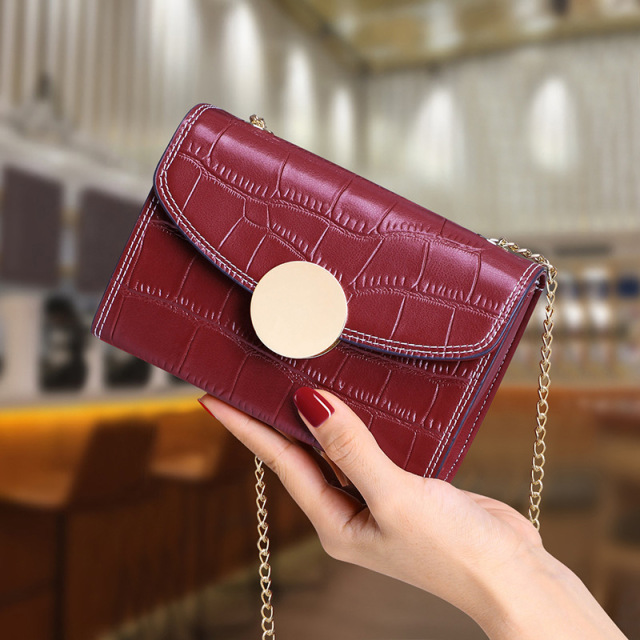 ins chain mini shoulder bag