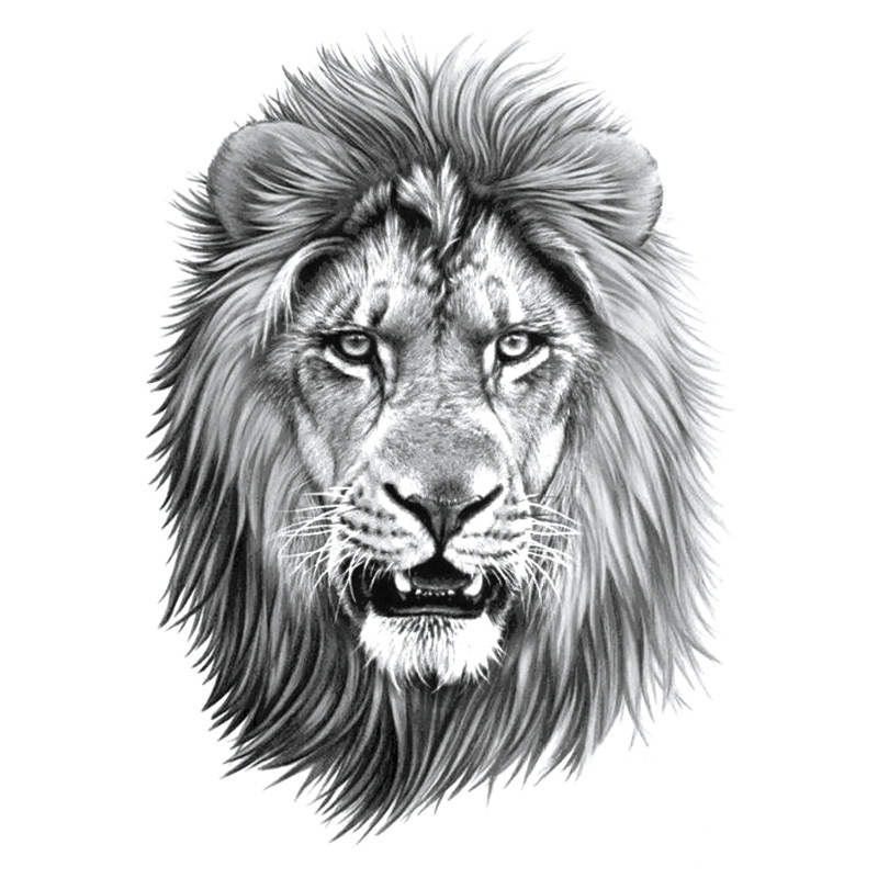 Tiger, wolf and lion tattoo stickers
