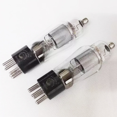 Power Vacuum Tube Psvane WE310A 310A