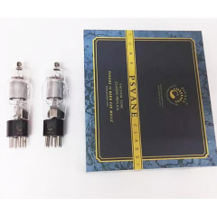 Power Vacuum Tube Psvane WE310A 310A