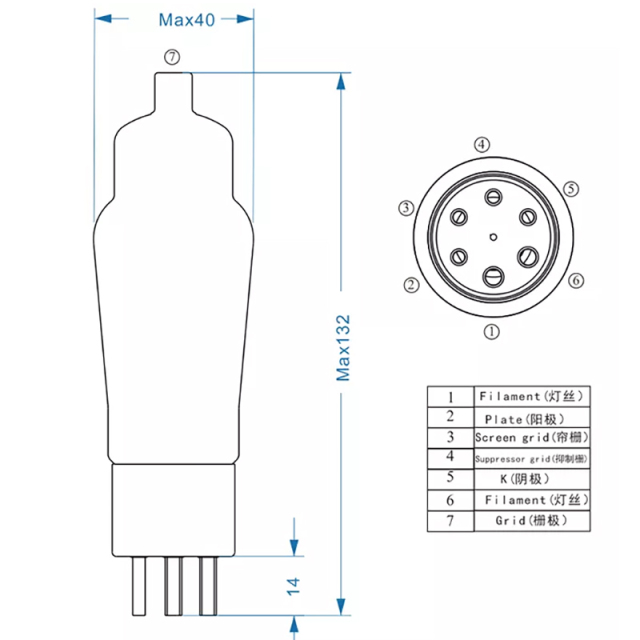 Power Vacuum Tube Psvane WE310A 310A