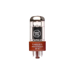 NEW Audio Valve Vacuum Gold plated Russia TUNG-SOL 6SN7 6SN7GTB Replace 6N8P 6H8C CV181