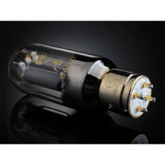 Shuguang 845-T Vacuum Tube Replace 845 845B Electron Tube DIY