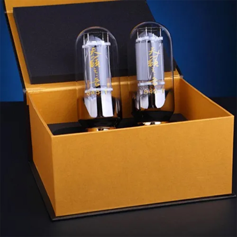 Shuguang 845-T Vacuum Tube Replace 845 845B Electron Tube DIY