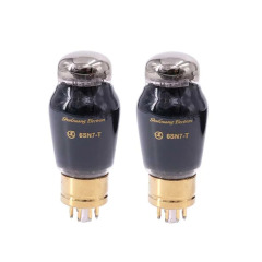 Shuguang 6SN7-T Vacuum Tube - Premium Matched Pair for Hi-Fi & Tube Amplifiers replace 6SN7
