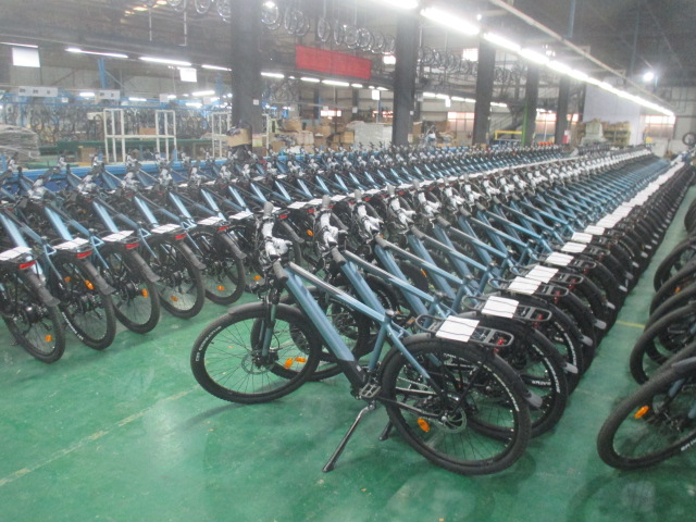 E-Bike inspection