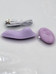 Underwear wearing device