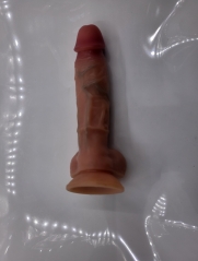Quick retractable penis