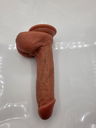 penis