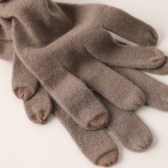 Pleated Cashmere Gloves