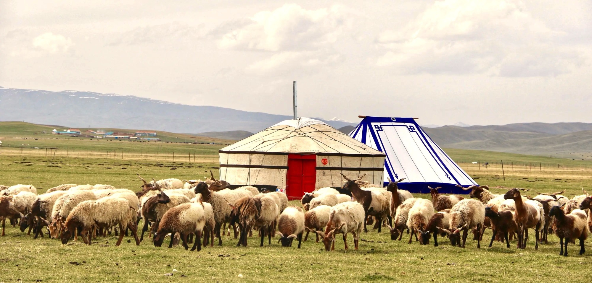 NATURE CALLS, ANSWER WITH A TENT