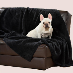 anti-bacterial pet blanket