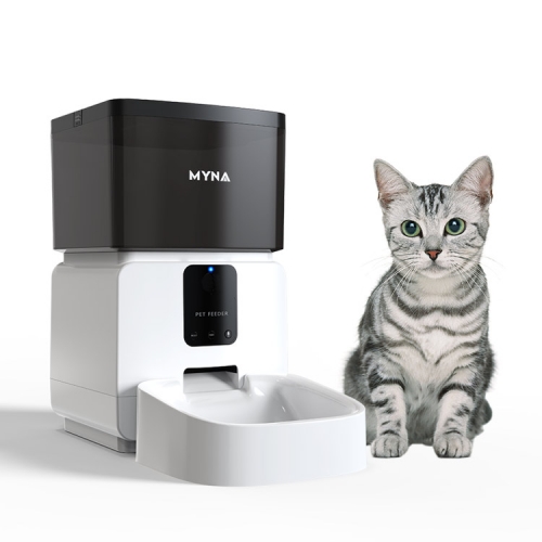 pet smart cat feeder