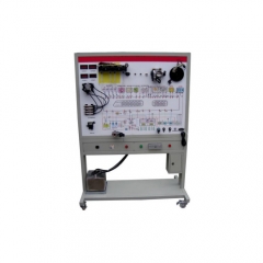 Petrol Electronic Unit Injector (EUIS) Fault Diagnostics Test Equipment Didactic Equipment Automotive Trainer