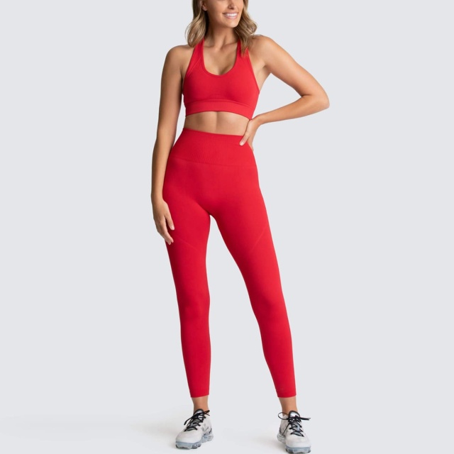 Yoga 2 pieces suit