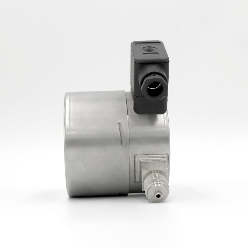 100mm lower connection SF6 DENSITY MONITOR