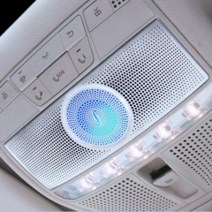 Mercedes C class Reading Lamp Cover Speaker