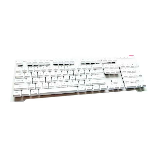 Tecsee  Customzied DIY Doubleshot White Key Cap For SP DSA