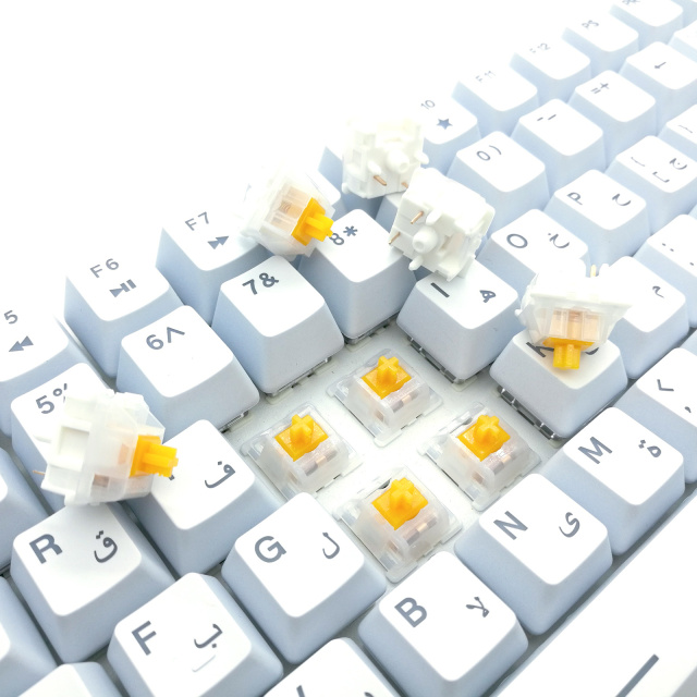 TECSEE  Mango Ice  Switch