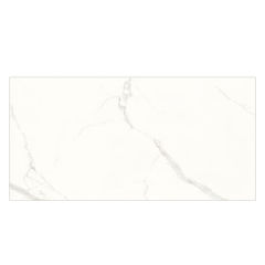 FP12202ST